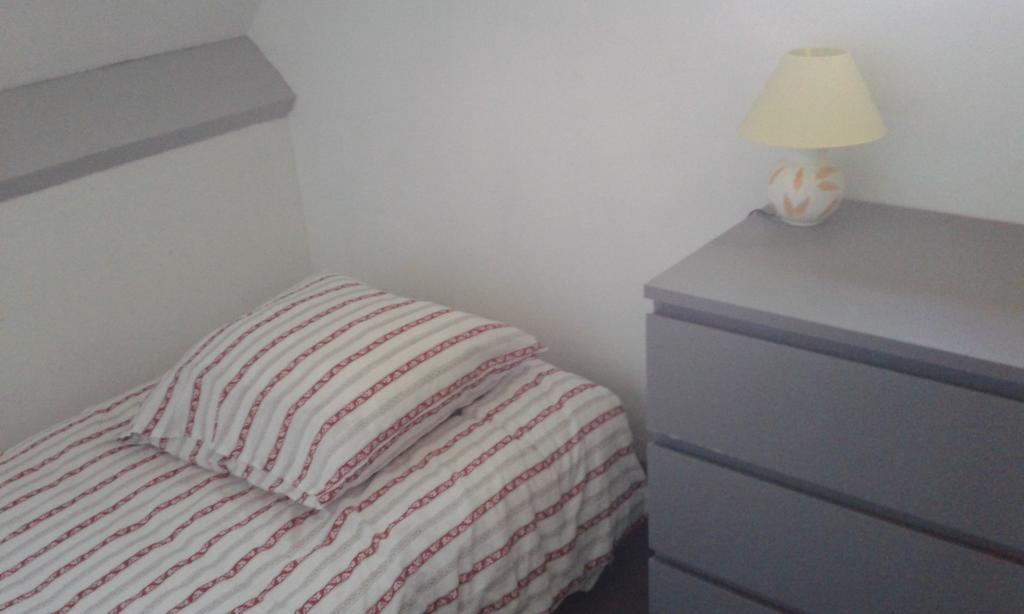 Gite De Serre Le Grand-Pressigny Bagian luar foto