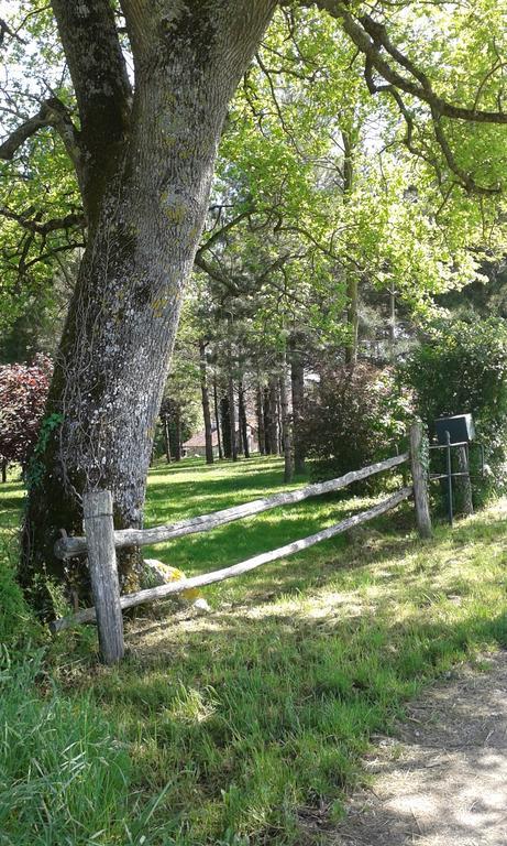 Gite De Serre Le Grand-Pressigny Bagian luar foto